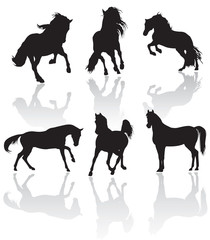 vector horse silhouettes