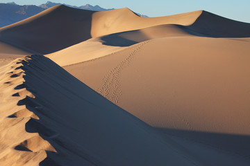 Sand dunes at Mesquite Flat