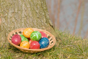 Ostereier im Korb auf der Wiese