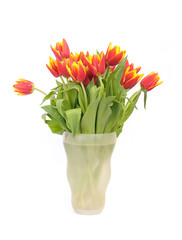 beautiful bouquet red tulips in vase on white background