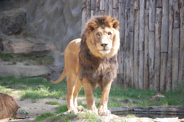 ZOO 6 © pracedoma81