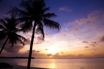 Naklejka na ściany i meble Beautiful sunset on the tropic beach and coconut palms