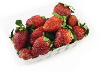Fresh Strawberries