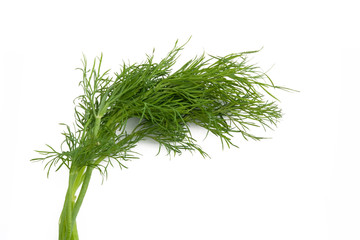 Dill
