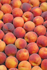 fresh ripe peaches