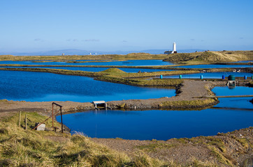 Oyster Farm