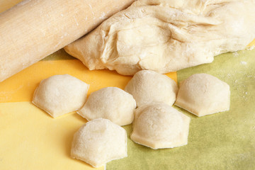 Making meat dumplings
