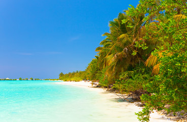 Maldives. tropical island.