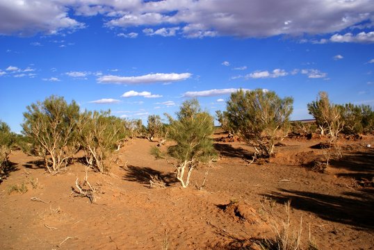 Desert in Mongolia