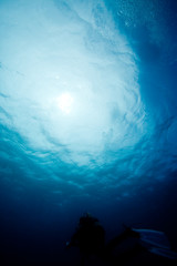Fototapeta na wymiar Tauchen - Mauritius - Safety stop - Diving