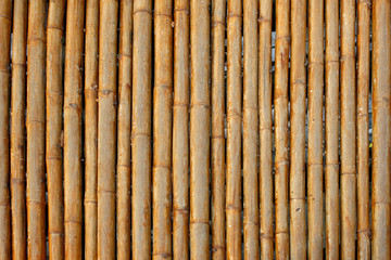 Bamboo background