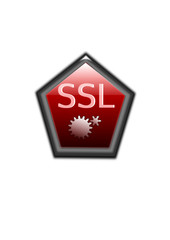 SSL icon