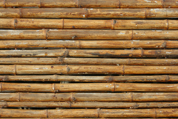 Bamboo background