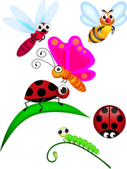 Obraz na płótnie Canvas Insect cartoon