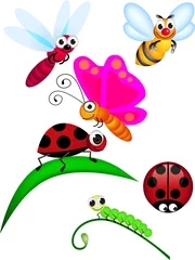 Cercles muraux Coccinelles Caricature d& 39 insectes
