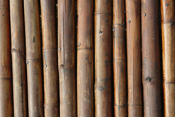 Bamboo background