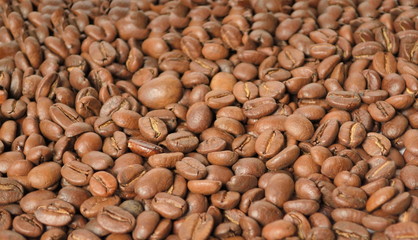 Coffee beans closeup