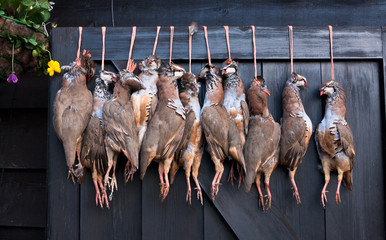 Pheasant carcasses hanging on a restaurant door