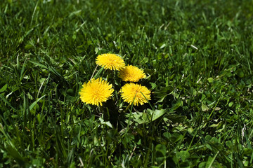 Springtime