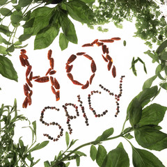 hot and spicy