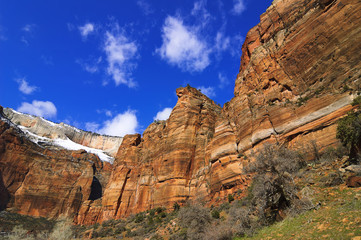 Zion National Park in spring