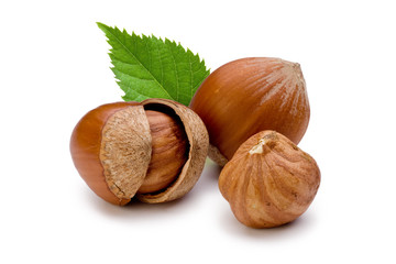 hazelnuts and leaf