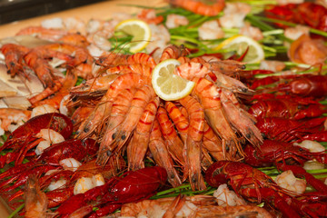 Shellfish Catering