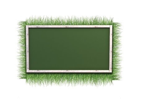 background of grass and frame