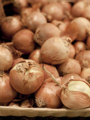 Oignons