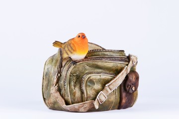 Robin sitting on bag on white