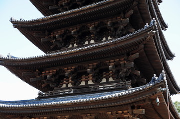 Fototapeta na wymiar Kofuku-ji-11