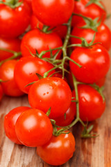 Cherry tomatoes on the wood background