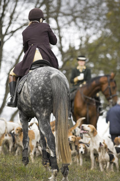 Jagd zu Pferd