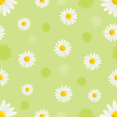 white daisies pattern