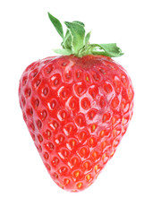 Single fresh red strawberry