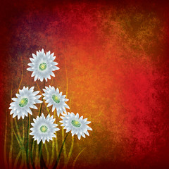 grunge illustration with white flowers on red