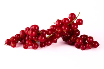 Red currants