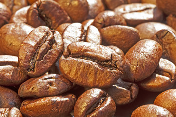 Kaffeebohnen