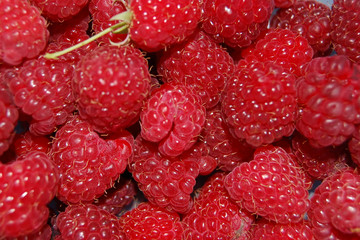 Himbeeren