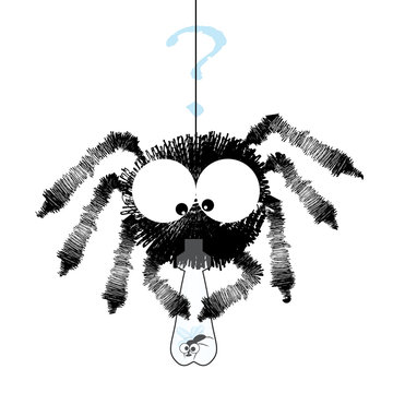 Black spider with fly in the bottle - funny cartoon image