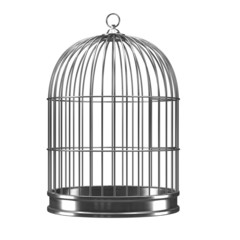 3d Silver bird cage - 30987096