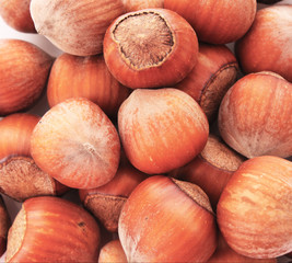 Hazelnuts Isolated on White Background