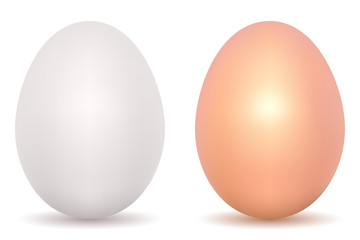 Close up of egg, isolated on white background, vector EPS versio