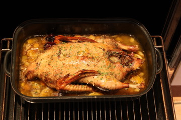 Entenbraten