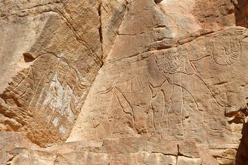 Elephant Rock Engravings - Wadi Mathendous - UNESCO World Herita