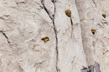 Kletterfelsen mit Haltegriffe 843