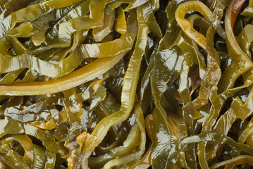 Sliced laminaria
