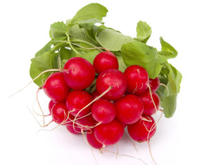 fresh radishes