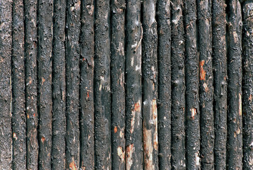burnt woden paling closeup © Виталий Бурлаков