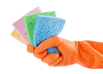 colorful sponge